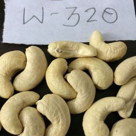 White kernel W320 Cashew nuts